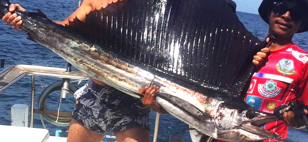 Big Game 1 Fishing Charter - Catch Sailish and Marlin